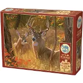 Cobble Hill Puzzle Réunion secrète XL 275 pièces