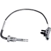 Hella Palpeur, température des gaz 6PT358 226-381