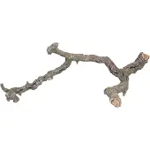 Trixie Tronchos : mélange de branches de liège, 1 kg / ø 2–10 cm / 25–75 cm