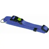 Kerbl Collier Miami (Chien, Général, Promenade)
