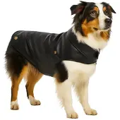 Flamingo Manteau pour chien Sancho noir, longueur du dos : 55 cm