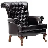 AEA Sessel Ohrensessel 1 Sitzer Sofa Couch Polster Couchen Leder