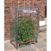 Garden Pleasure Serre à tomates ; structure en tube d'acier, peinte par poudrage