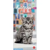 Sonstige Verlage Calendrier Whiskas « La vie d'un chat » 2027