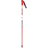Vola Bâtons Gs Carbon