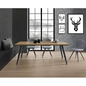 AEA Brauner Esszimmer Tisch Designer Holzplatte Metallfüße Luxus Möbel