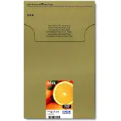 Epson 33XL Cartouches Pack Combiné