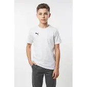 Puma T-shirt Team Goal 65861604