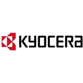 Kyocera Life Plus, 1 licence(s), 3 année(s)