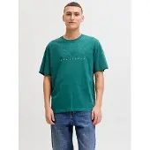 Jack & Jones T-Shirt 'JJEStar' émeraude / blanc