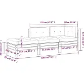 vidaXL Canapé de jardin avec coussin et pouf 3 places