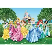 AG Design Papier peint photo Princess FTD2207