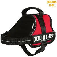 Julius-K9 Harnais Power Bébé 1–Mini 40–53 cm/22 mm rouge