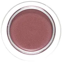 Shiseido Shimmering Cream Eye Color No Vi730