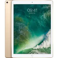 Apple iPad Pro 12,9 pouces (2017) 512 Go Wifi Or