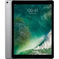Apple iPad Pro 12,9 pouces (2017) 512 Go Wi-Fi + 4G Gris Sid?ral