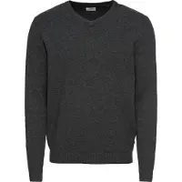 Jack & Jones Ebasic Knit V Neck Sweater Gris XS Homme