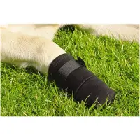 Beeztees Bz Protection Pour Pattes Noir Pack De 2 (Chien)