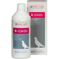 Versele-Laga B-Chol 500 ml Solution(S)