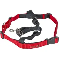 Company of animals Harnais DÉducation Halti Pour Chien Désignation : Harnais Halti Taille : Taille 1 Halti 190078