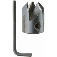 Bosch 2608585740 - Fraise à lamer amovibles pour mèche hélicoïdales à bois 6 x 16 mm