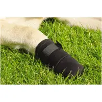 Beeztees Bz Protection Pour Pattes Noir Pack De 2 (Chien)