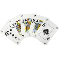 Cartamundi Cartes de poker Texas PC PEEK argentées