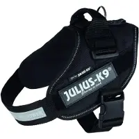 Julius-K9 IDC Power harnais taille 0-4 58-76 cm/40 mm noir