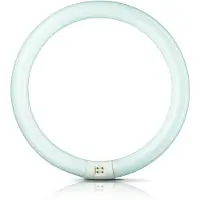 Philips 22 W, culot G10q, 22 W, culot G10q, C-T9, durée de vie : 9000 heures, flux lumineux : 1300 lumens, lumière blanche neutre
