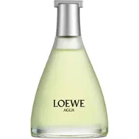 LOEWE Agua Eau de Toilette mixte 100 ml