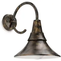 Philips myGarden Applique d'extérieur Fowl Rustique Économie d'énergie 17258-42-16