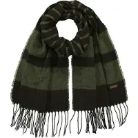 Barts Twan Scarf Vert,Noir Homme