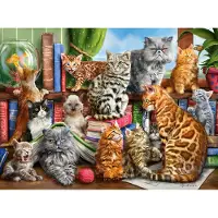 Castorland Puzzle Maison des Chats - 2000 pièces