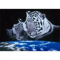 Grafika Graphiques 1 500 pièces