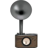 Sangean WR-45 Black (Euphonic 450) Chopin Silver (BT/FM/Batterie)