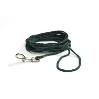 Beeztees Bz Laisse De Terrain En Nylon Vert Dans Le Bli (Chien, Général)