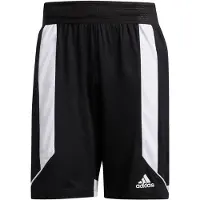 Adidas Pantalon Creator 365 DY6633