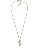 Elli Chaîne 'Rose' or rose