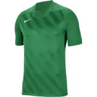 Nike Unisexe, T-shirt de sport, Challenge Iii Maillot Enfants (140, S), Vert, S, 140