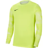 Nike Maillot de gardien Park IV