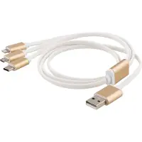 Epzi Câble 3 en 1 Lightning/Micro/USB-C - 0,5 m - or (0.50 m, USB 3.2 Gen 1)