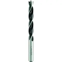 Alpen 61600400100 CV/HSS Perceuses ? cheville, Gris, 4,0 mm