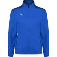 Puma Veste de sport 'TeamGOAL 23 Sideline'
