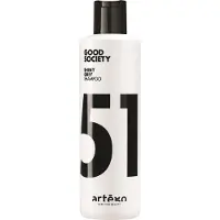 Artègo Good Society 51 Shiny Grey Shampoing Déjaunissant 250ml
