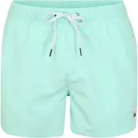 Quiksilver Shorts de bain 'EVDAYVL15 M JAMV GCZ0'