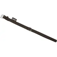 Nobby Collier South (XS, Chien)