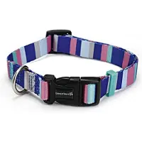 Beeztees BZ NYLON HALSBD STRIPES 48-70X (48, 49, 50, 52, 54, 56, 58, 60, 62, 68, Chien, Général)
