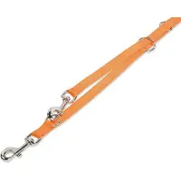 Nobby Classic (S, Chien, Général)