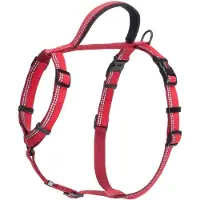 Halti Harnais De Promenade Désignation : Harnais De Promenade Rouge Taille : Xsmall Company Of Animals 17041