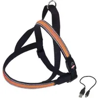 Nobby Harnais Norvégien Pour Chien Nobby Pet Flash Mesh